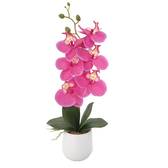16" Pink Orchid in Ceramic Pot by Ashland®